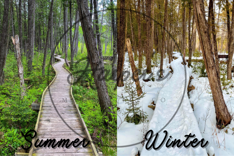 Ice Age Trail Postcard