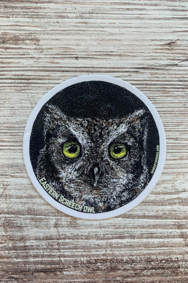 Eastern Screech Owl Sticker