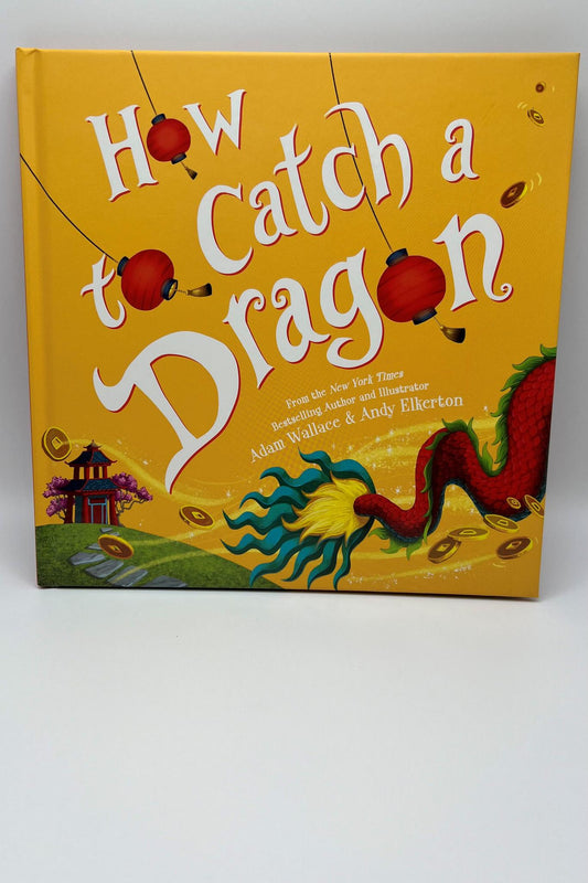 How To Catch A Dragon Book