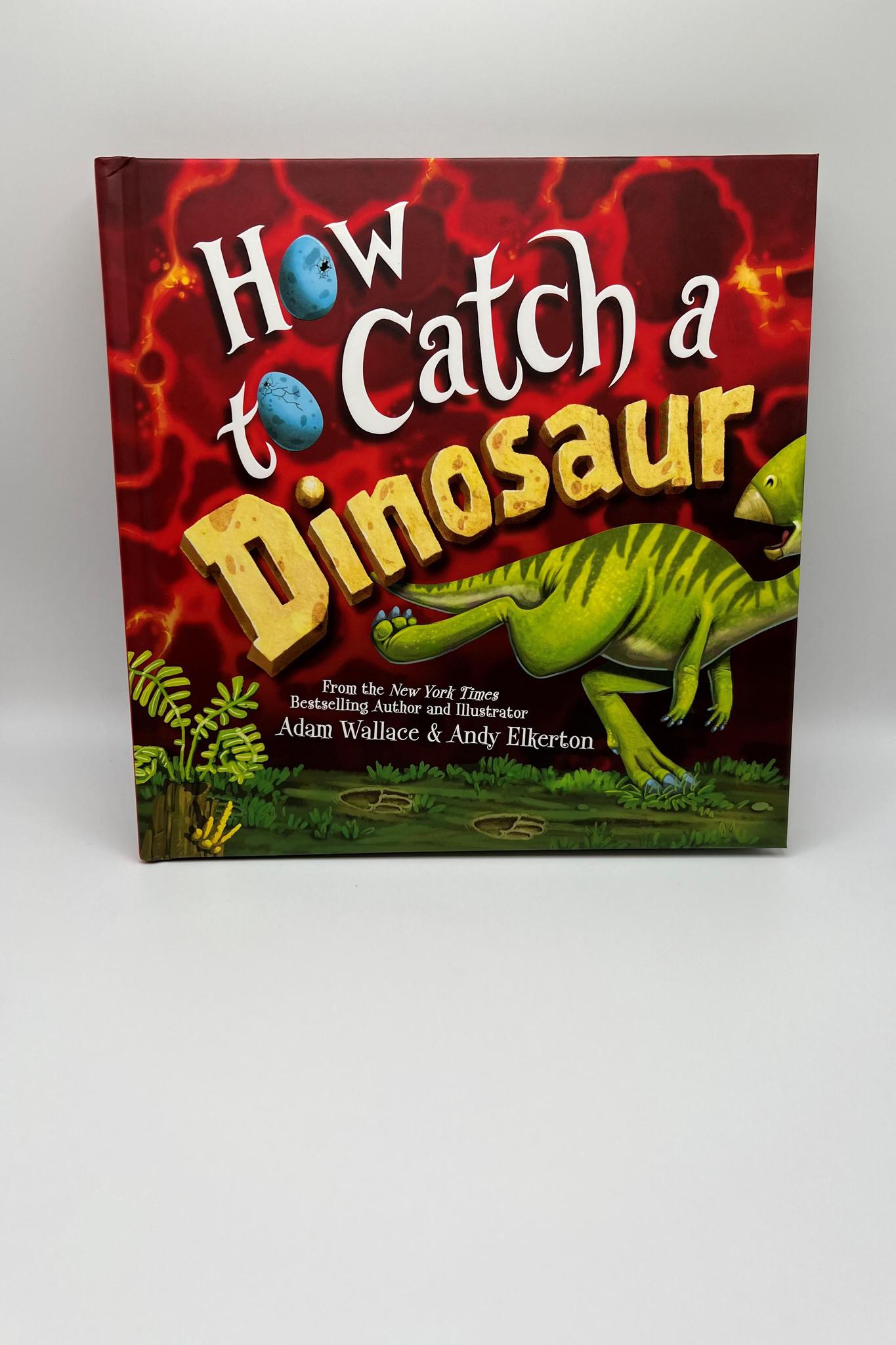 How To Catch A Dinosaur Book