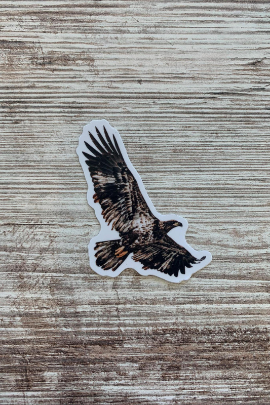 Small Eagle Sticker