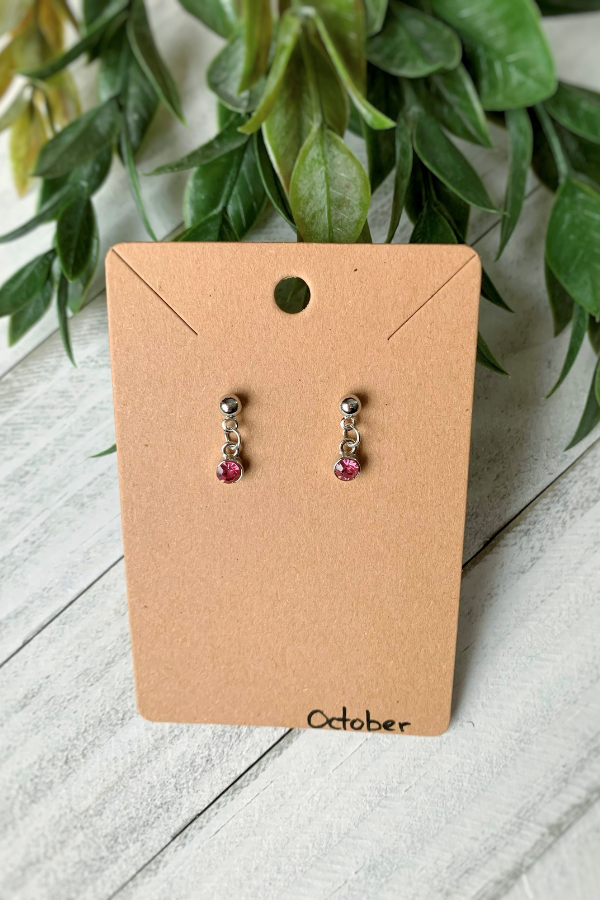 Birthstone Earrings Silver