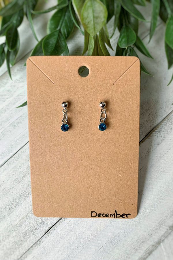 Birthstone Earrings Silver