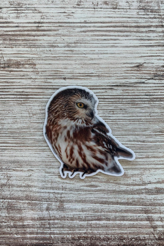 Small Owl Sticker