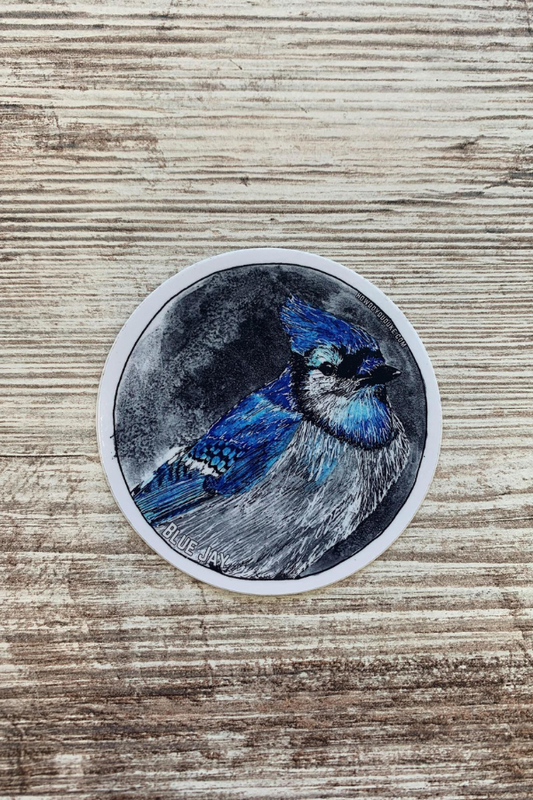 Blue Jay Sticker