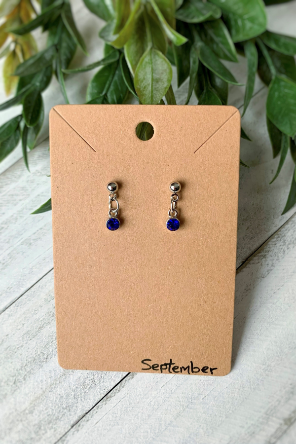 Birthstone Earrings Silver