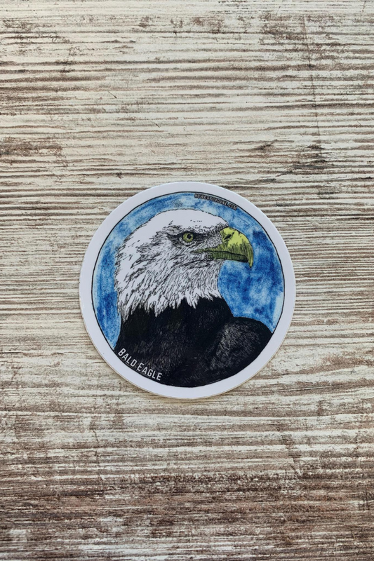 Bald Eagle Sticker