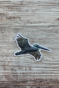 Pelican Sticker