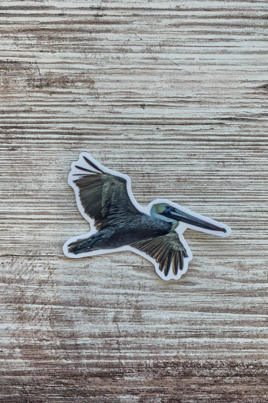 Pelican Sticker